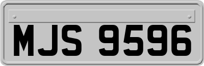 MJS9596