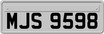 MJS9598