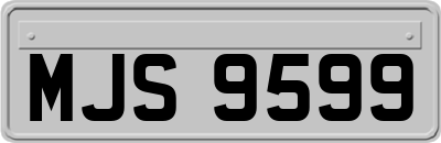 MJS9599