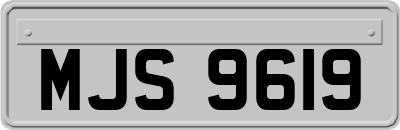 MJS9619