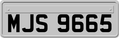 MJS9665