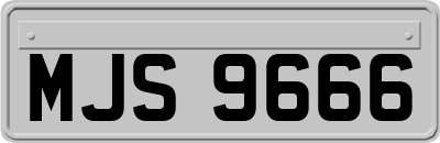 MJS9666