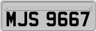 MJS9667