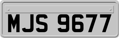 MJS9677
