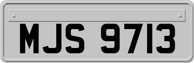 MJS9713