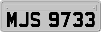 MJS9733