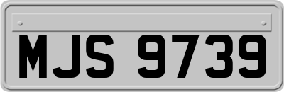 MJS9739