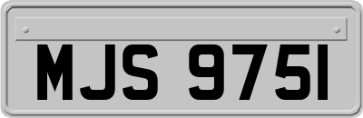 MJS9751