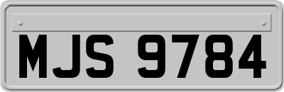 MJS9784
