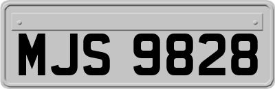 MJS9828