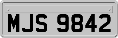 MJS9842