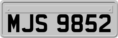 MJS9852