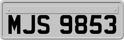 MJS9853