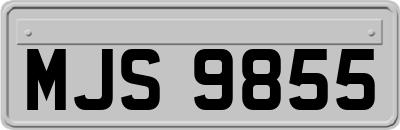MJS9855