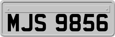 MJS9856