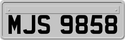 MJS9858