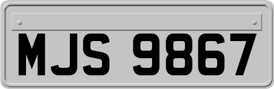 MJS9867