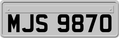 MJS9870