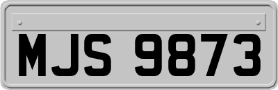 MJS9873