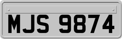 MJS9874