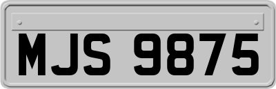 MJS9875