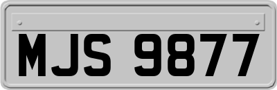 MJS9877
