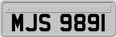 MJS9891