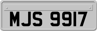 MJS9917