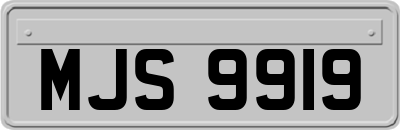 MJS9919