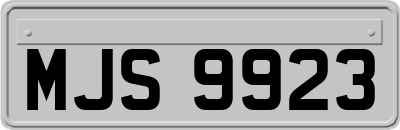 MJS9923
