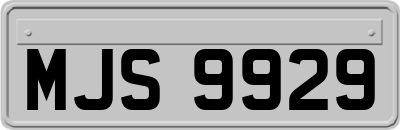MJS9929