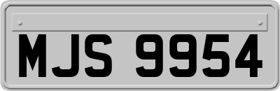 MJS9954