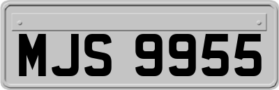 MJS9955