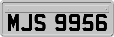 MJS9956