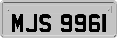 MJS9961