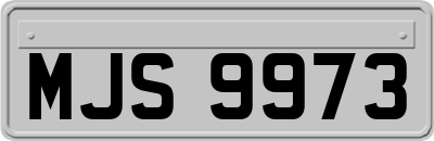 MJS9973