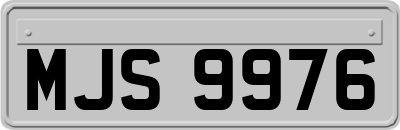 MJS9976