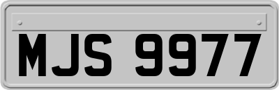 MJS9977