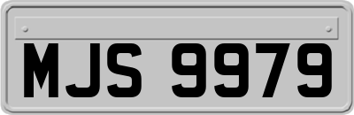 MJS9979