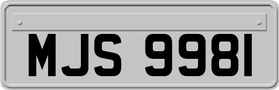 MJS9981