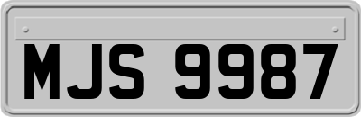 MJS9987