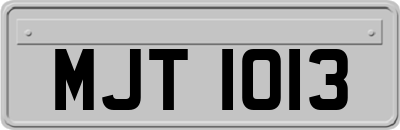 MJT1013