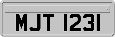MJT1231