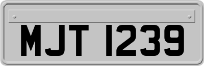 MJT1239