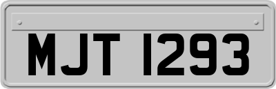 MJT1293