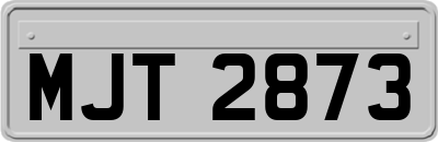 MJT2873