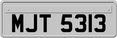 MJT5313