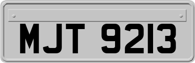 MJT9213
