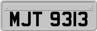 MJT9313