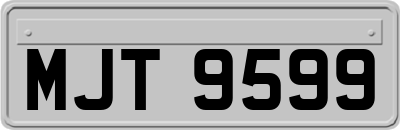 MJT9599